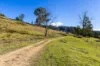 177 Little Careys Trail, Candelo, NSW 2550-Image