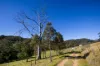 177 Little Careys Trail, Candelo, NSW 2550-Image