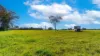 17741 Pacific Highway, Jones Island, NSW 2430-Image