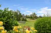 178 Cedar Party Road, Taree, NSW 2430-Image