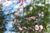 178 Plummers Road, Forest Range, SA 5139-Image