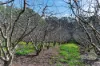 178 Plummers Road, Forest Range, SA 5139-Image