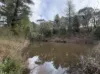 178 Plummers Road, Forest Range, SA 5139-Image