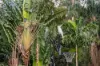 18-20 Alison Court, Buccan, Qld 4207-Image