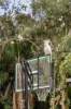 18-20 Alison Court, Buccan, Qld 4207-Image