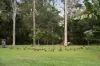 18-20 Alison Court, Buccan, Qld 4207-Image