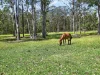 18 Cyrils Lane, Upper Lansdowne, NSW 2430-Image