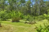 18 Holden Road, Rainbow Flat, NSW 2430-Image