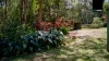 18 Kays Road, Ravenshoe, Qld 4888-Image