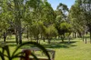 18 Main Street, Meringandan, Qld 4352-Image