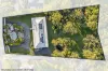 18 Mulwala Street, Maudsland, Qld 4210-Image