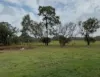 18 Tanzi Place, Sunshine Acres, Qld 4655