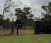 18 Tanzi Place, Sunshine Acres, Qld 4655-Image
