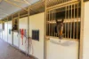 180 Cudgel Road, Cudgel, NSW 2700-Image