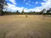 1800 Memerambi Barkers Creek Road, Wattle Camp, Qld 4615-Image