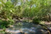181 Kirbys Road, Montville, Qld 4560-Image