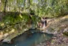 181 Kirbys Road, Montville, Qld 4560-Image
