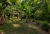 181 Kirbys Road, Montville, Qld 4560-Image