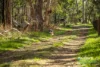 182 Shepherd Road, Jupiter Creek, SA 5153-Image
