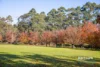 182 Shepherd Road, Jupiter Creek, SA 5153-Image