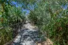 1825 Great Northern Highway, Bullsbrook, WA 6084-Image