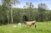 1845 Gaeta Road, Gaeta, Qld 4671-Image