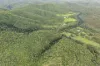 1845 Gaeta Road, Gaeta, Qld 4671-Image