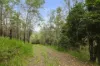 1845 Gaeta Road, Gaeta, Qld 4671-Image