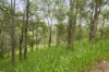 1845 Gaeta Road, Gaeta, Qld 4671-Image