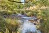 185 Goremans Road, Eureka, NSW 2480-Image