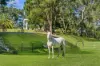 185 Kallaroo Road, Terrey Hills, NSW 2084-Image