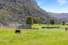 186 Byrrill Creek Road, Byrrill Creek, NSW 2484-Image