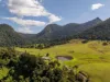 186 Byrrill Creek Road, Byrrill Creek, NSW 2484-Image