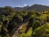186 Byrrill Creek Road, Byrrill Creek, NSW 2484-Image
