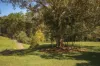 186 Byrrill Creek Road, Byrrill Creek, NSW 2484-Image
