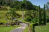 186 Byrrill Creek Road, Byrrill Creek, NSW 2484-Image