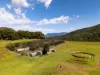 186 Byrrill Creek Road, Byrrill Creek, NSW 2484-Image