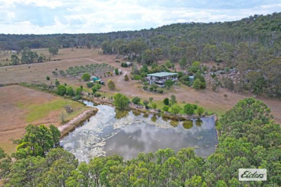 186 McKechnie Road, Ruby Creek, NSW 4380