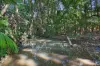 186 Trees Road, Tallebudgera, Qld 4228-Image