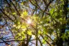 186 Wattle Tree Road, Holgate, NSW 2250-Image