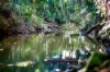 186 Wattle Tree Road, Holgate, NSW 2250-Image