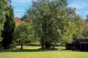 186 Wattle Tree Road, Holgate, NSW 2250-Image