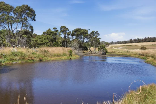 1861 Bridport Road, Bridport, Tas 7262-Image