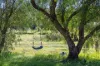 1865 Myrtle Mountain Road, Candelo, NSW 2550-Image