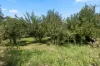 1865 Myrtle Mountain Road, Candelo, NSW 2550-Image