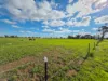 187 Cannie North Road, Cannie, Vic 3540-Image