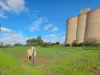 187 Cannie North Road, Cannie, Vic 3540-Image