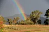 187 Mccormacks Road, Merrijig, Vic 3723-Image