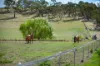 1878 Trunkey Road, Georges Plains, NSW 2795-Image