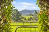 188 - 216 Mount Macedon Road, Macedon, Vic 3440-Image